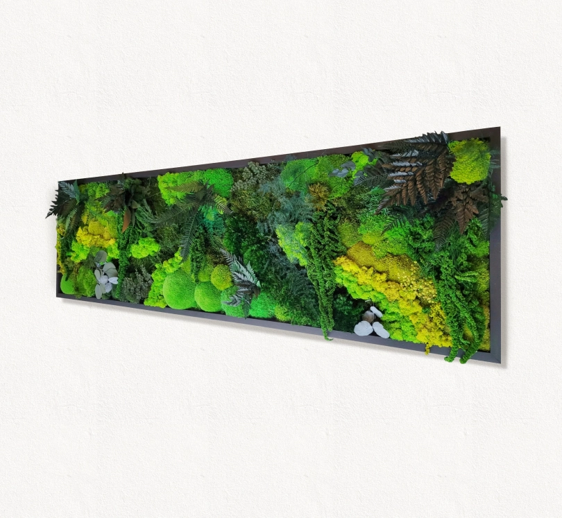 Moss frame,  Moss Wall Art,  Nature Room Decor, Art Modern wall