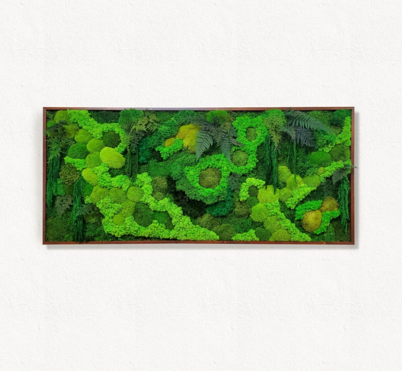 Moss frame,  Moss Wall Art,  Nature Room Decor, Art Modern wall