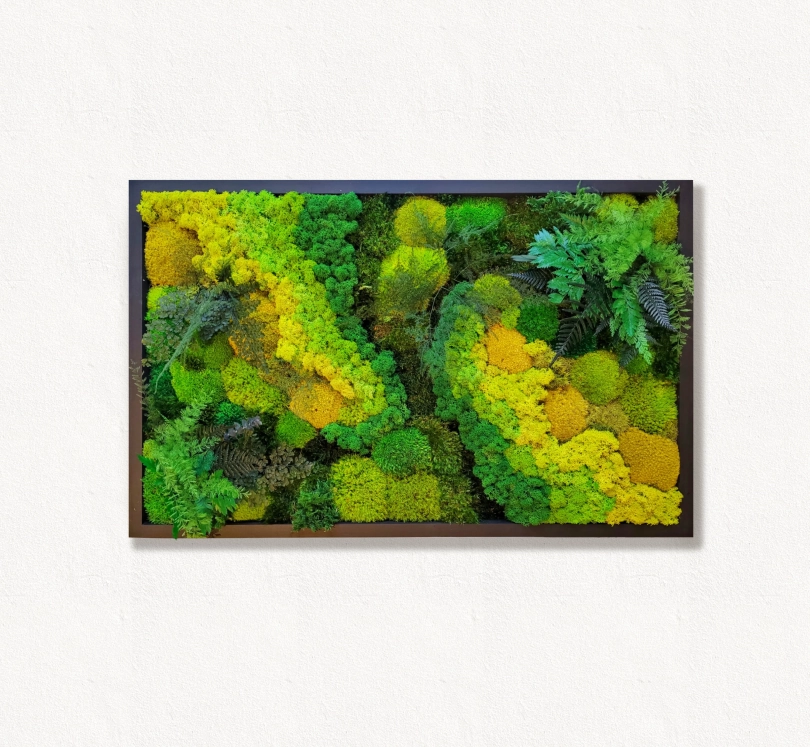 Moss frame,  Moss Wall Art,  Nature Room Decor, Art Modern wall