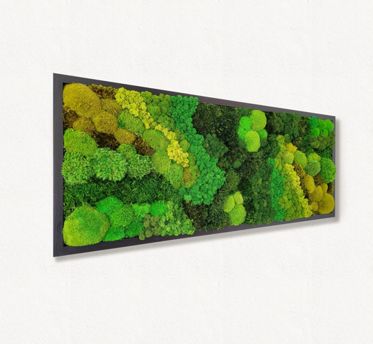 Moss frame,  Moss Wall Art,  Nature Room Decor, Art Modern wall