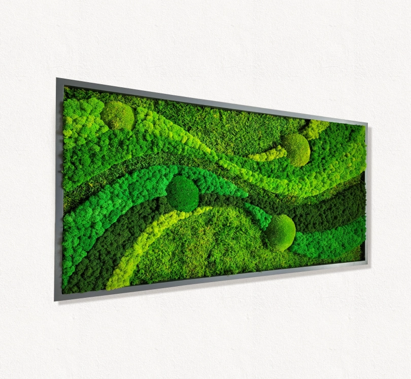 Moss frame,  Moss Wall Art,  Nature Room Decor, Art Modern wall