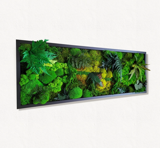 Moss frame,  Moss Wall Art,  Nature Room Decor, Art Modern wall