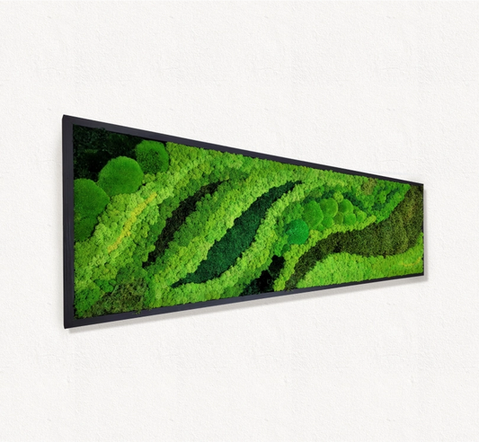 Moss frame,  Moss Wall Art,  Nature Room Decor, Art Modern wall