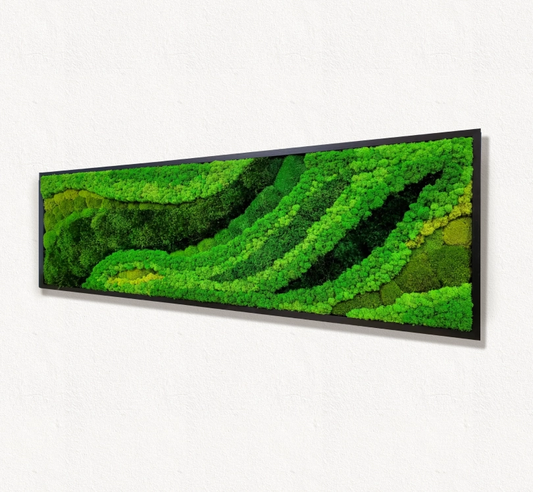 Preserved Moss Art Framed. Picture of preserved moss